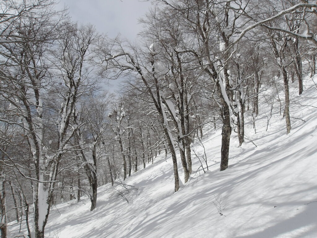 100_0002.JPG