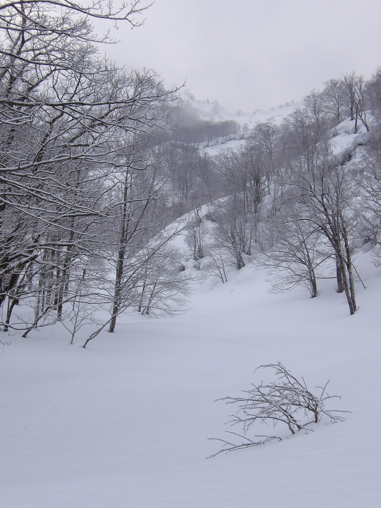 100_0003.JPG