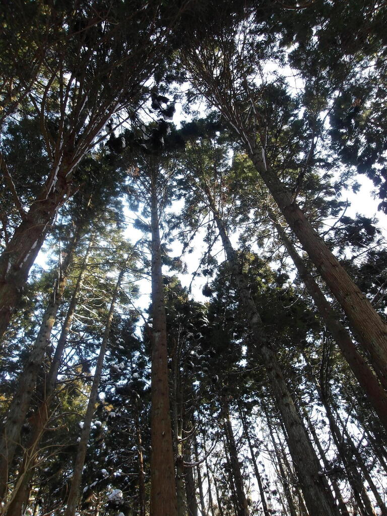100_0003.JPG