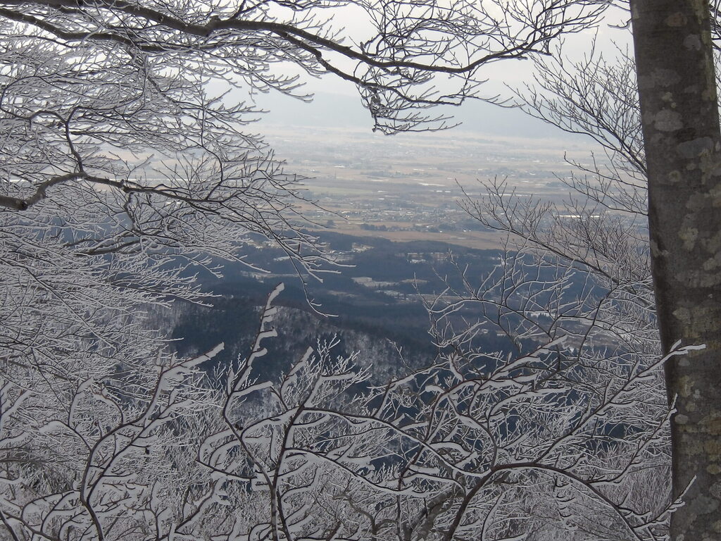 100_0003.JPG