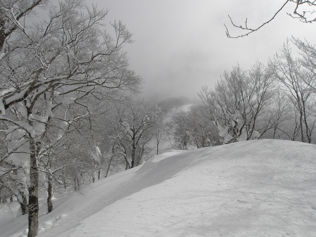 100_0004.JPG