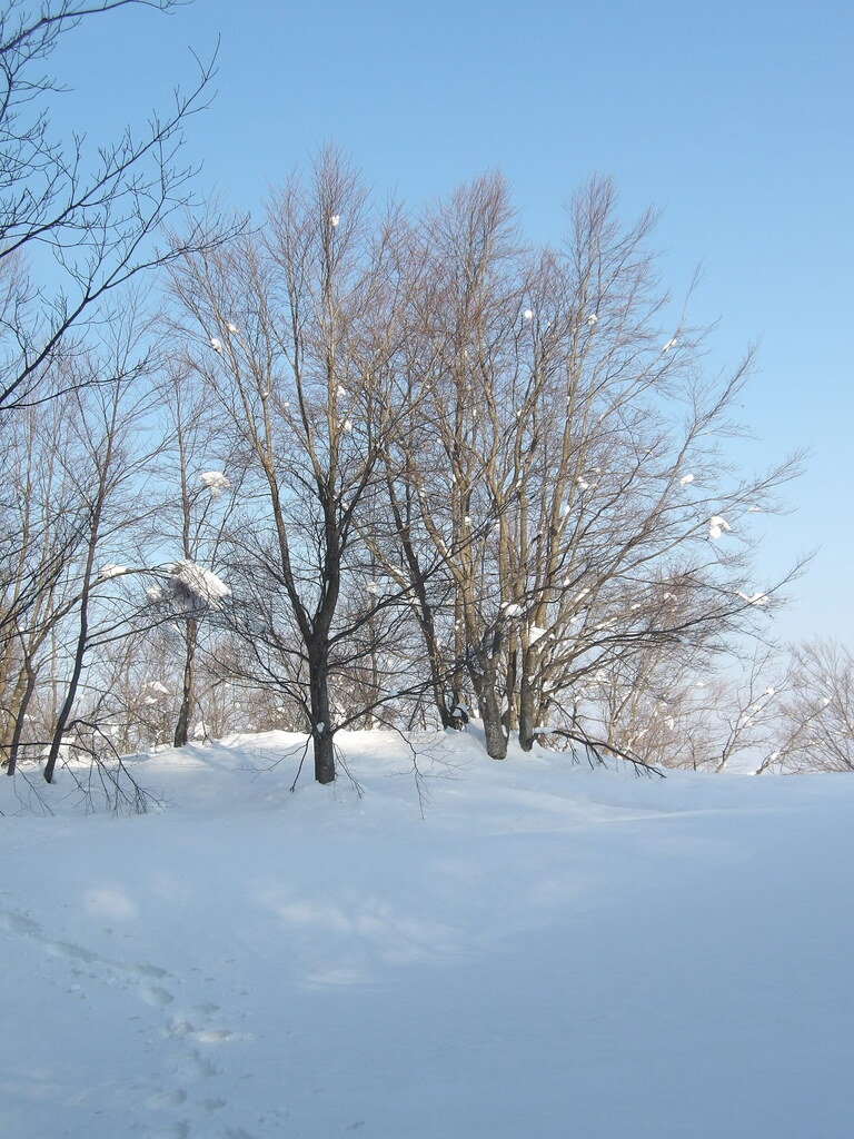 100_0005.JPG