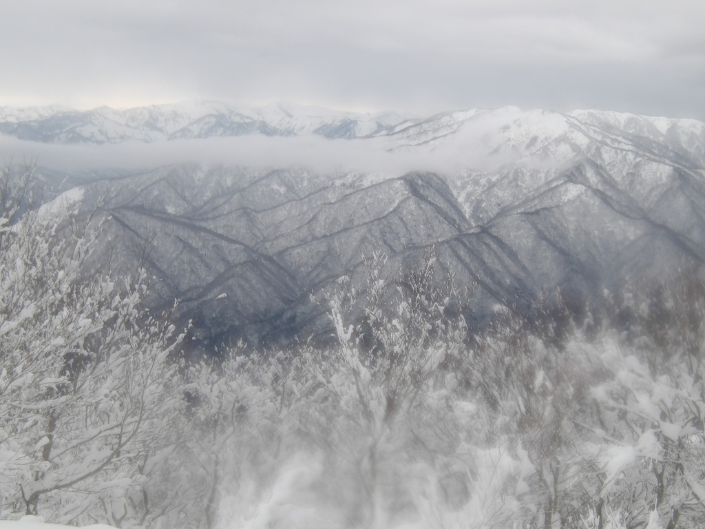 100_0006.JPG