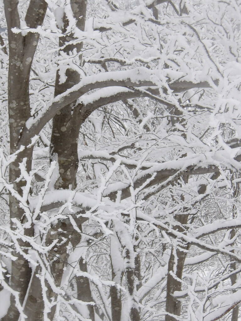 100_0006.JPG
