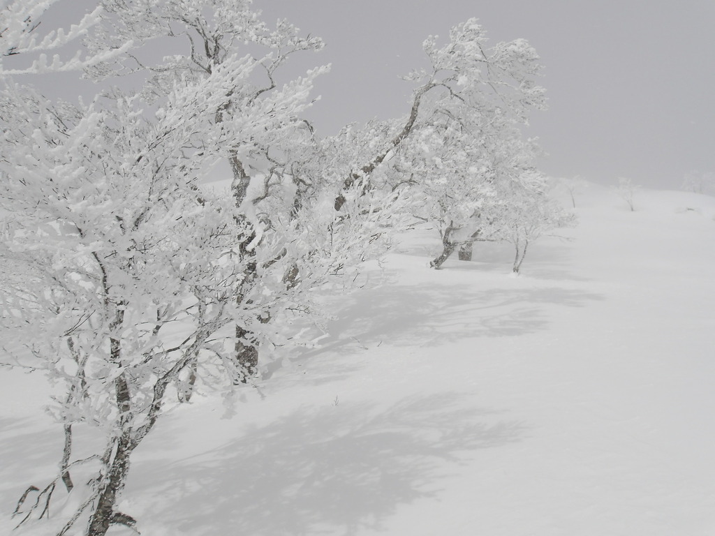 100_0007.JPG