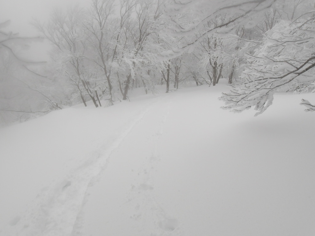 100_0007.JPG