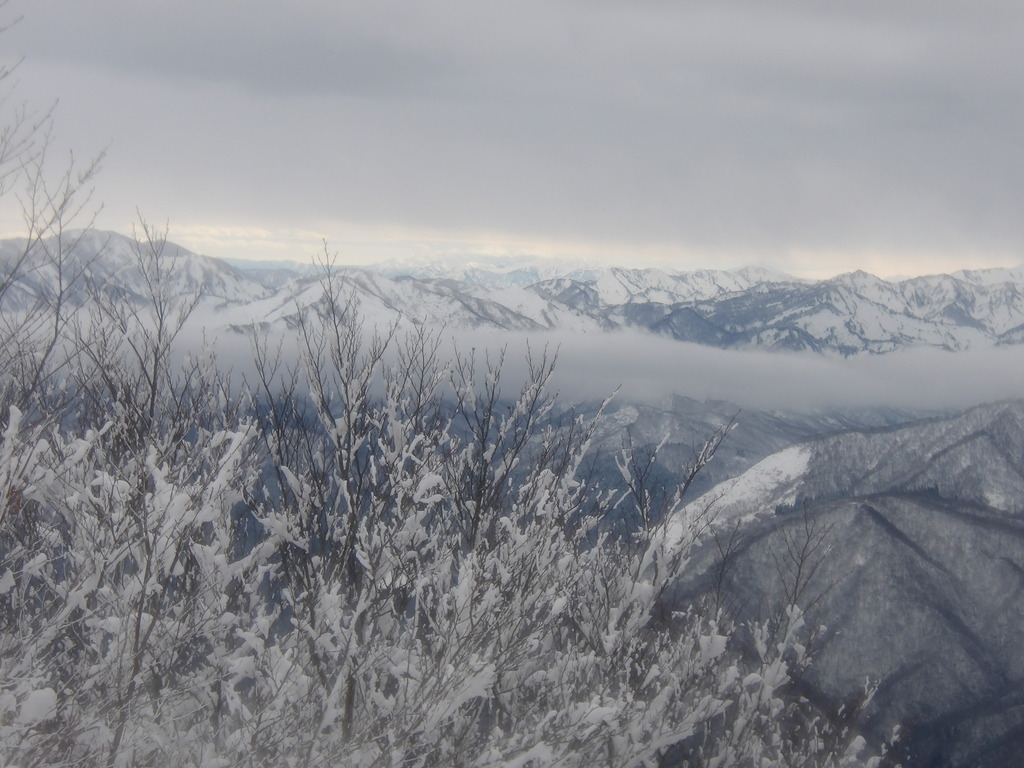 100_0007.JPG