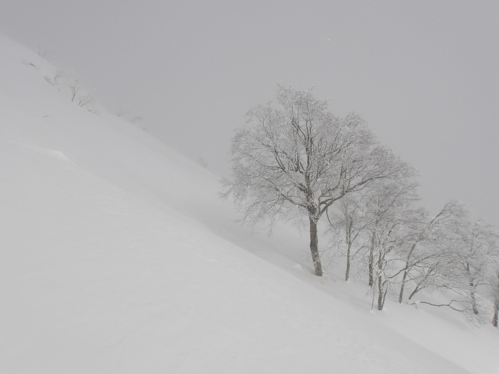 100_0008.JPG