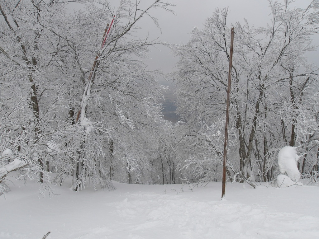 100_0009.JPG