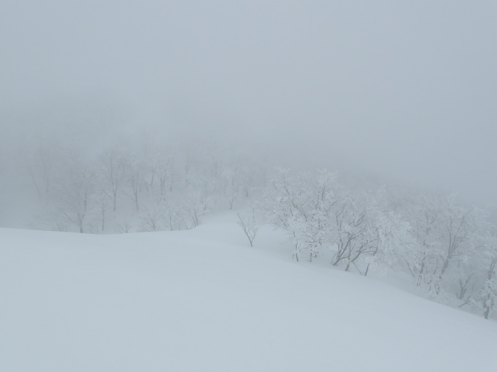 100_0009.JPG
