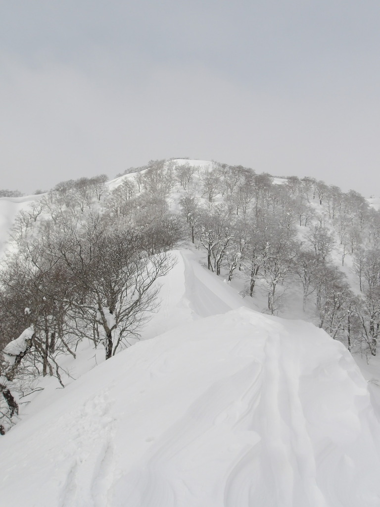 100_0010.JPG
