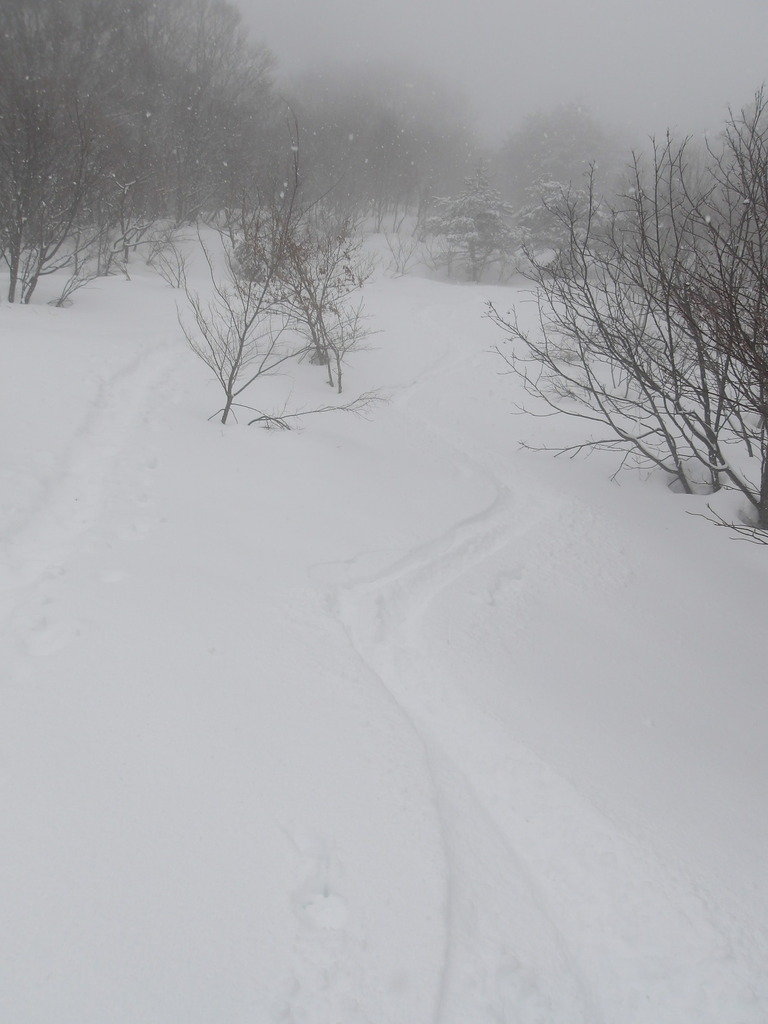 100_0010.JPG