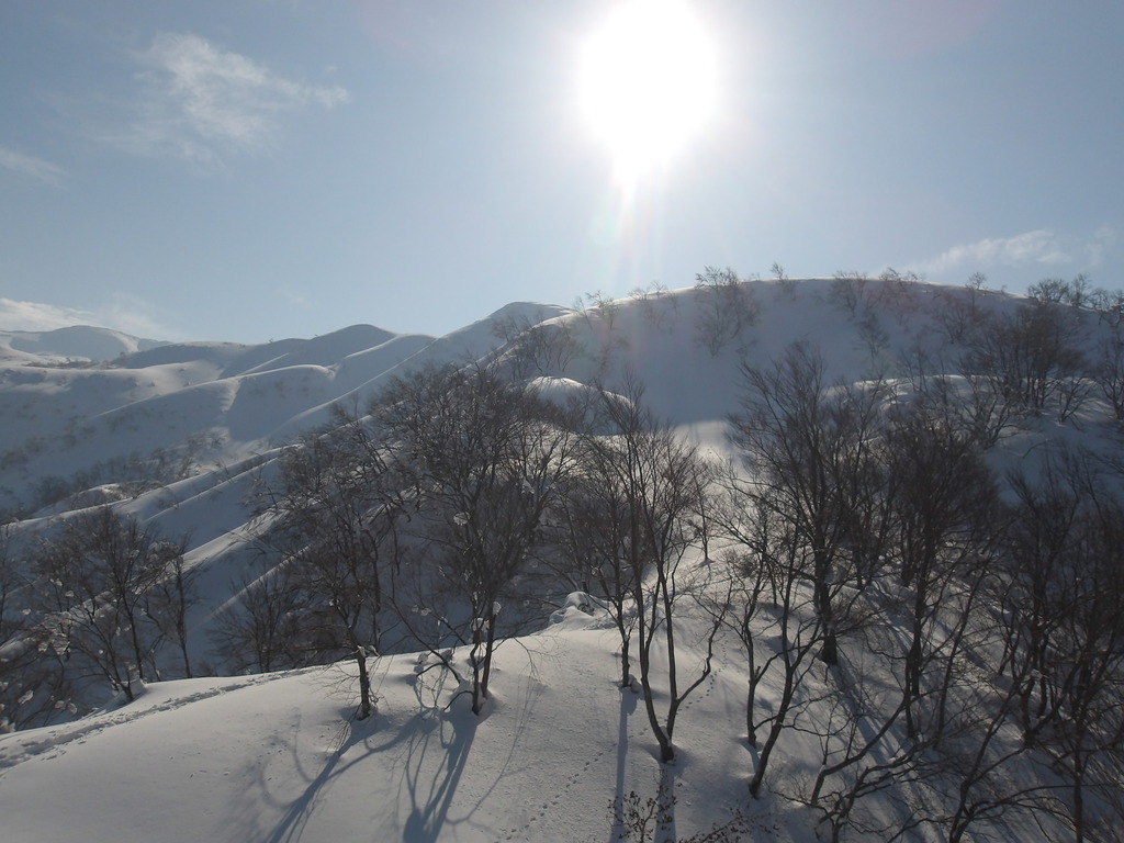 100_0010.JPG