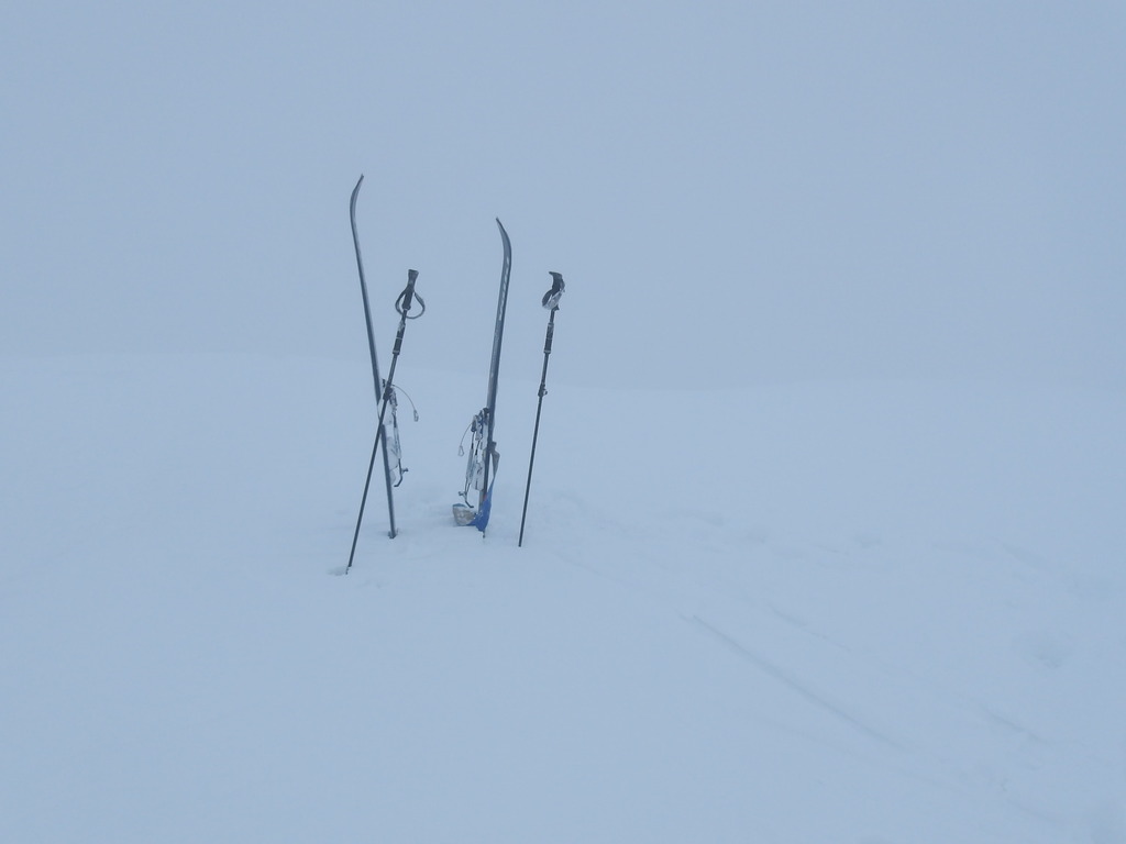 100_0010.JPG