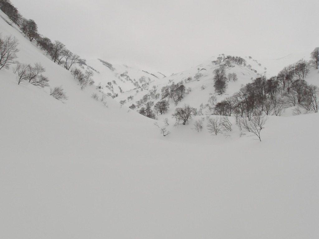 100_0010.JPG