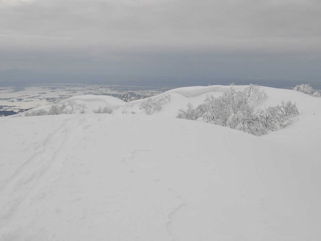 100_0012.JPG
