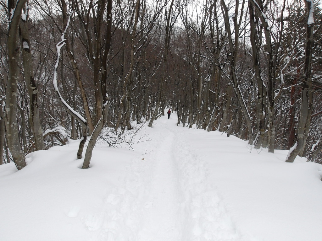 100_0012.JPG