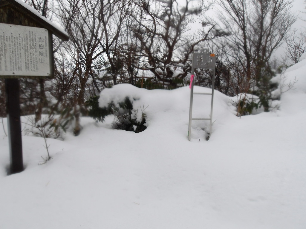 100_0013.JPG