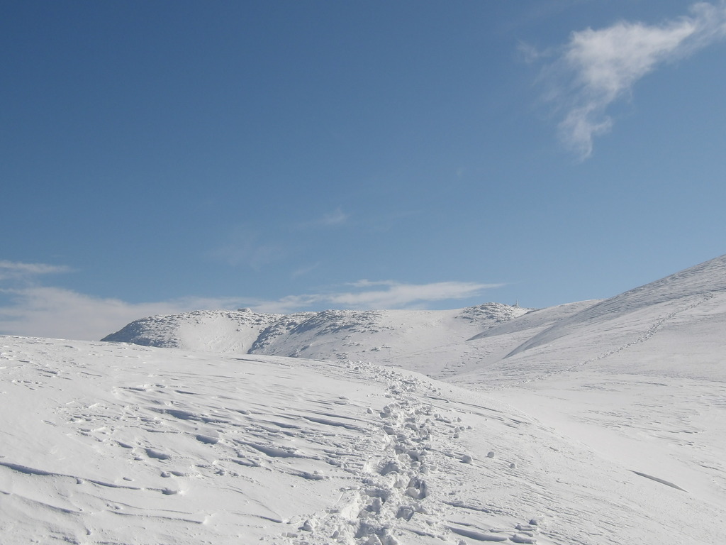 100_0013.JPG