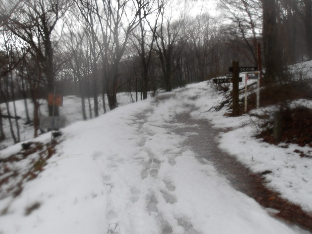 100_0014.JPG