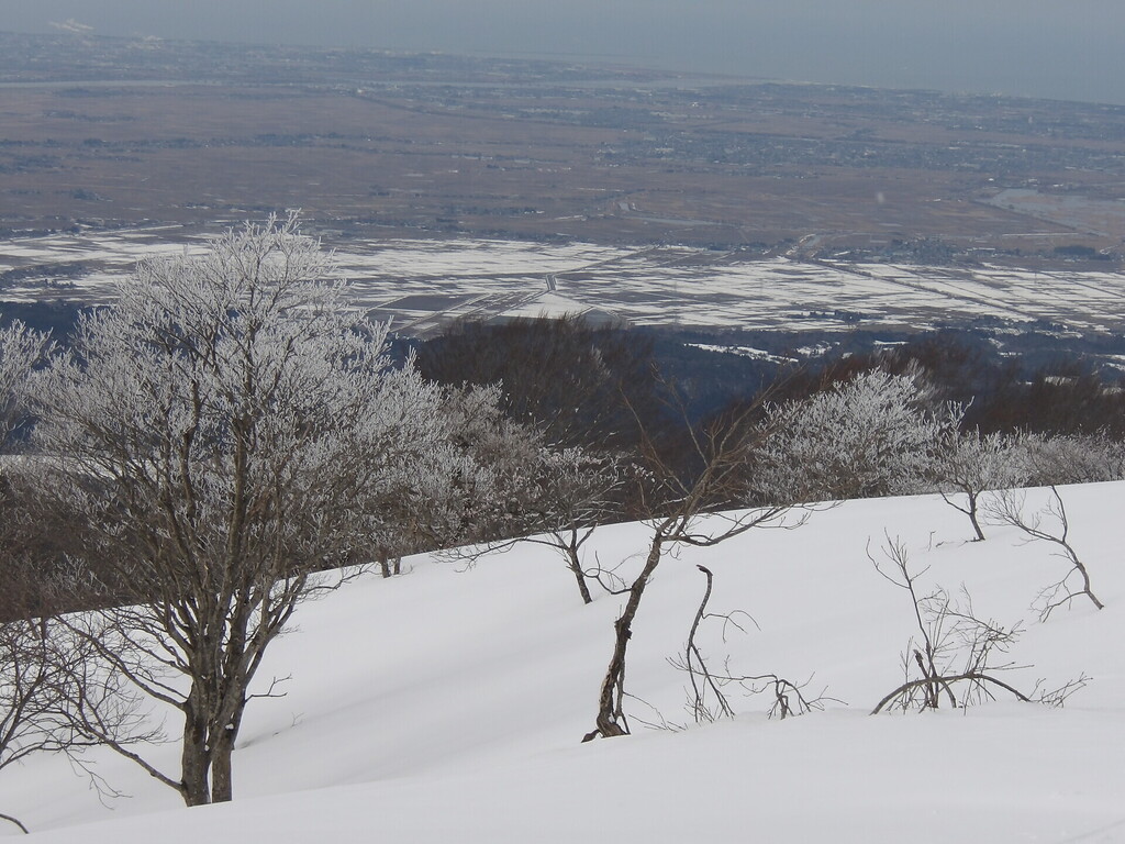 100_0014.JPG