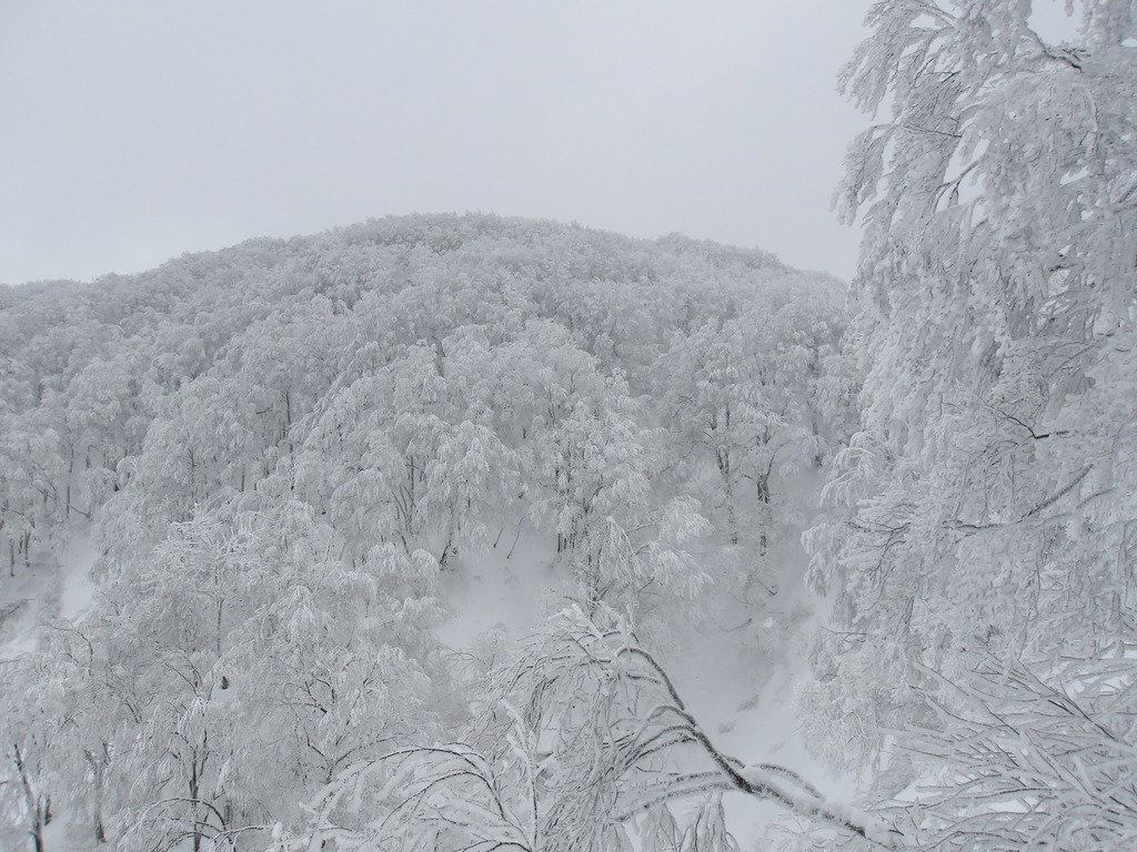 100_0015.JPG