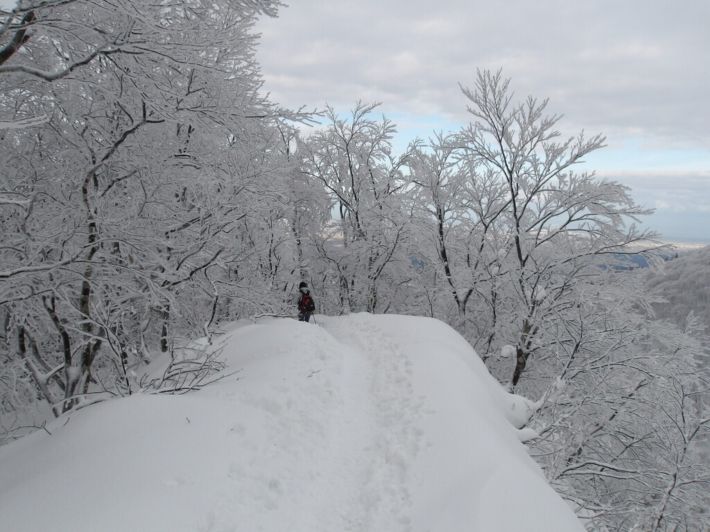 100_0016.JPG