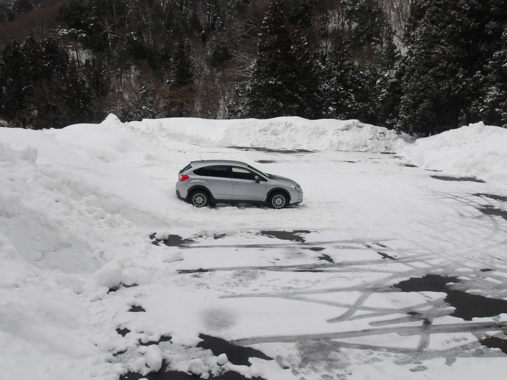 100_0017.JPG