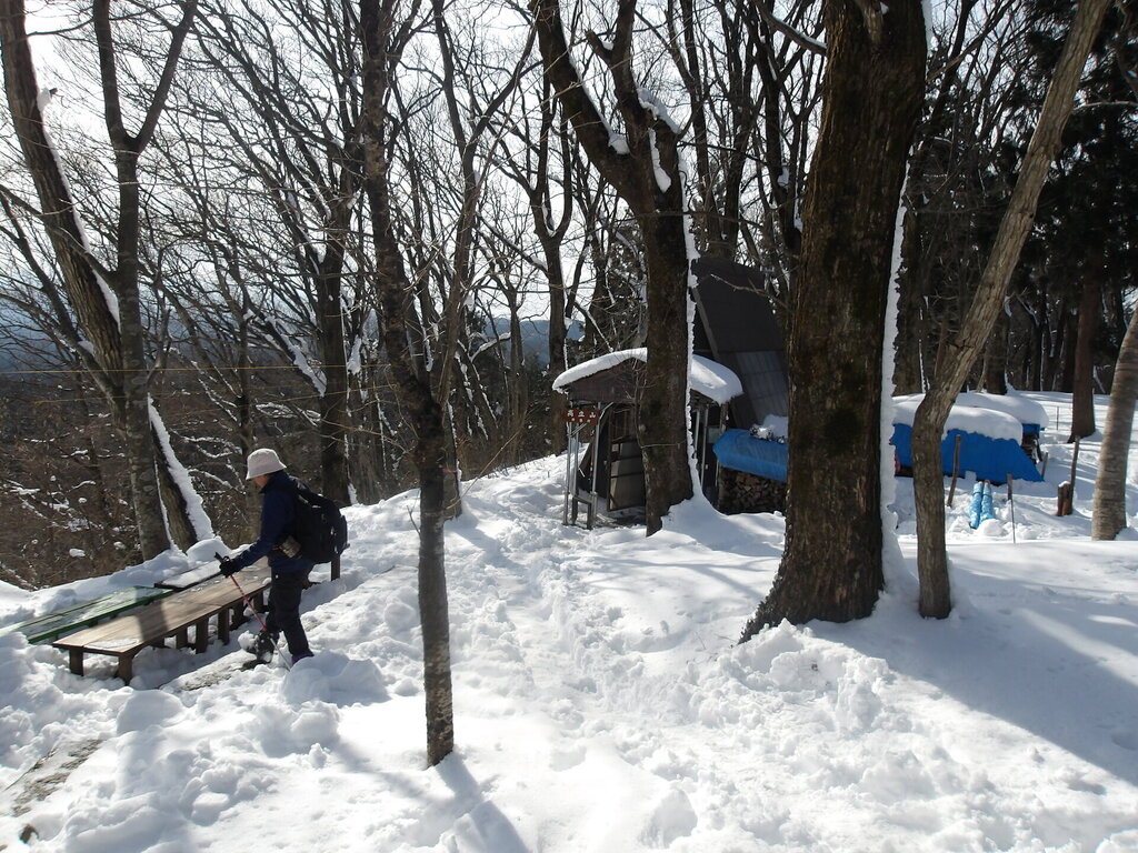 100_0021.JPG