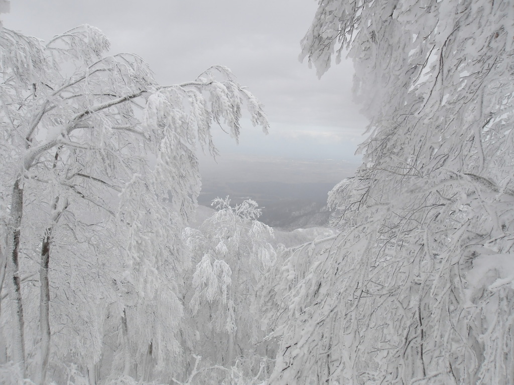 100_0022.JPG