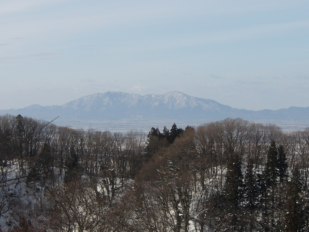 100_0028.JPG