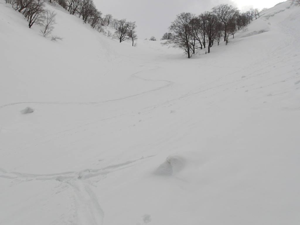100_0029.JPG