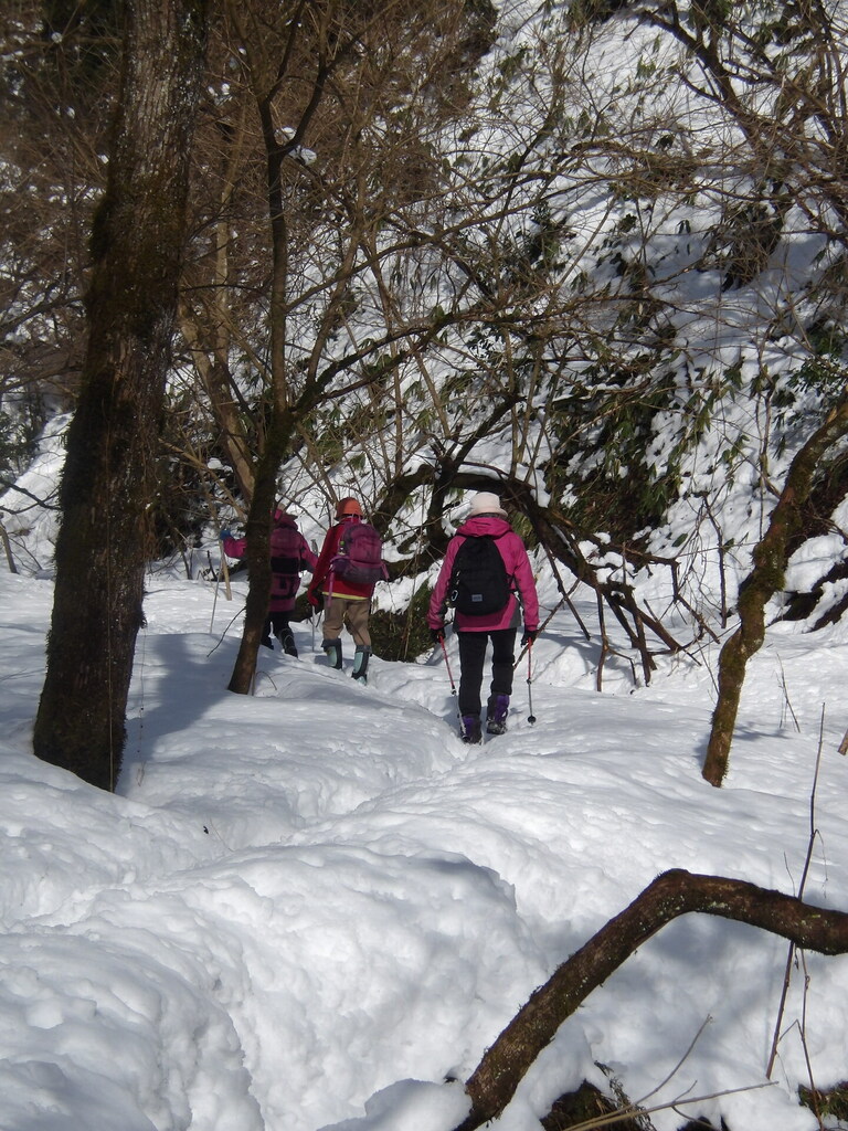 100_0030.JPG