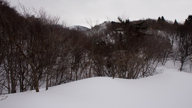 2021.2.20deyu.jpg