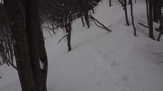 2021.2.20deyu1.jpg