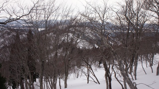 2021.2.20deyu2.jpg
