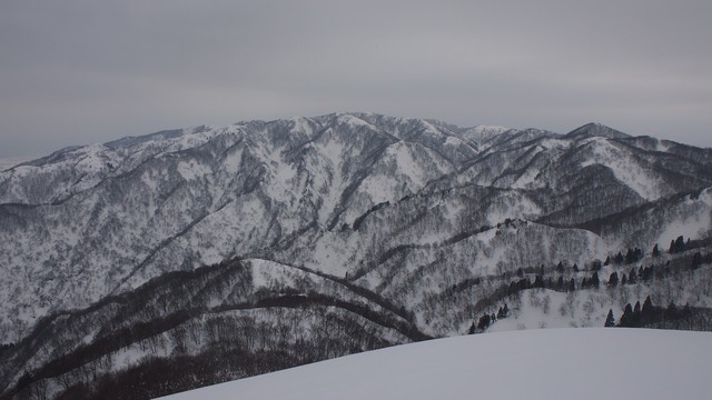 2021.2.20deyu5.jpg