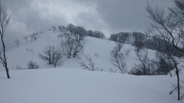 2021.2.26金鉢山から松平山.jpg12.jpg
