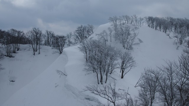 2021.2.26金鉢山から松平山.jpg4.jpg