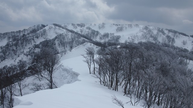2021.2.26金鉢山から松平山.jpg5.jpg