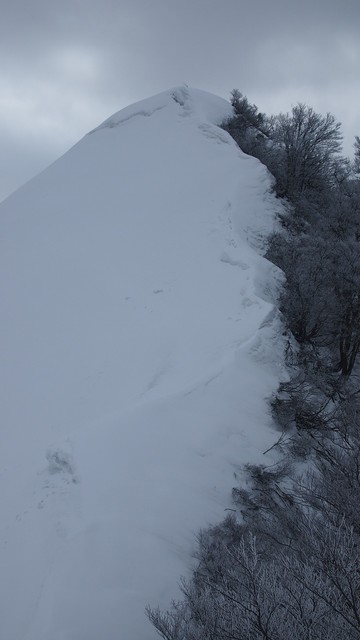 2021.2.26金鉢山から松平山.jpg8.jpg