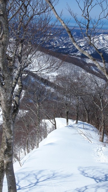 2021.2.28光兎山1jpg.jpg