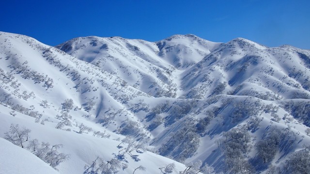 2021.3.7・9.jpg