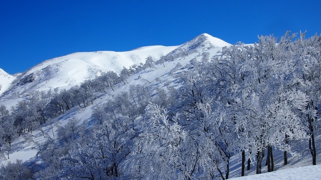 2021.3.7・7.jpg