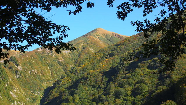 P1012068.JPG