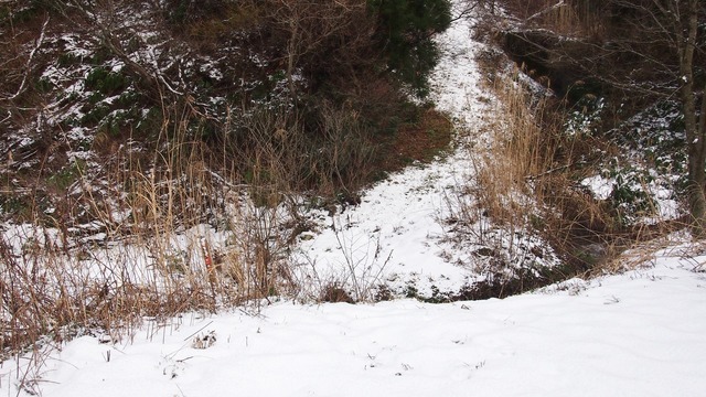 P1192726.JPG