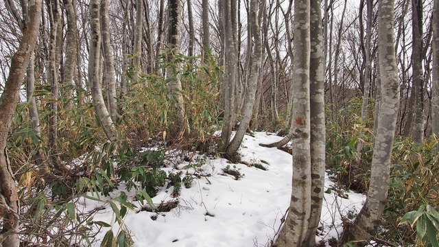 P1192729.JPG