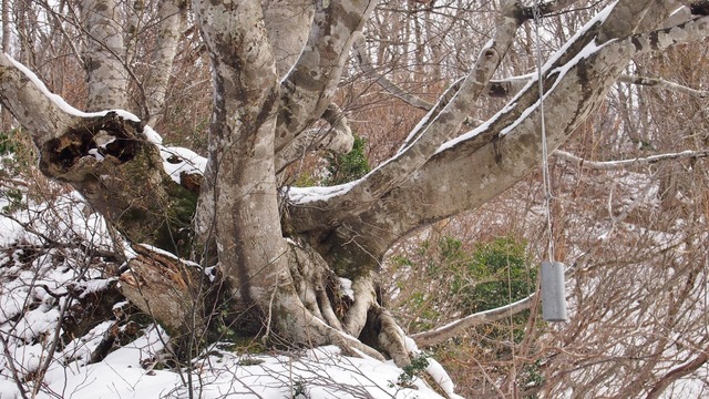 P1192731.JPG