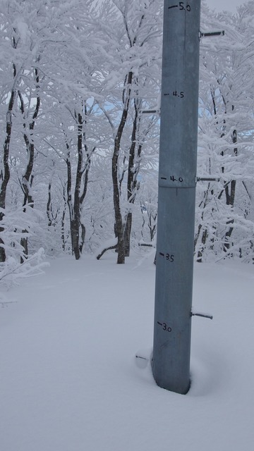 P2072892.JPG
