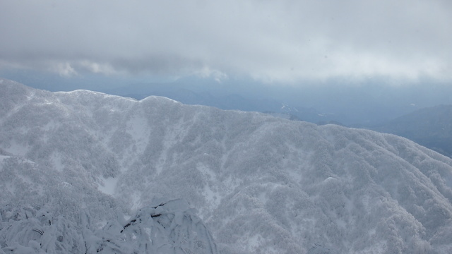 P2072917.JPG